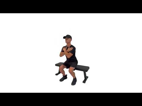 Sit to Stand alternating leg knee ups