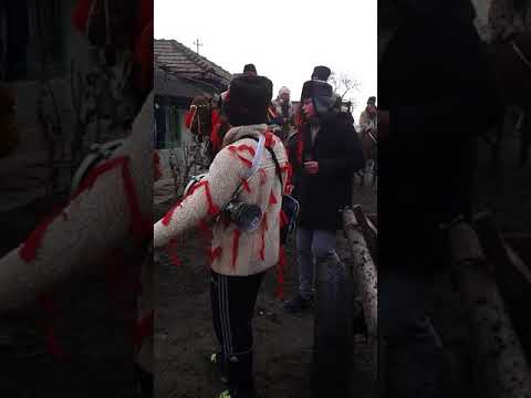 Plugul Mare: Fulga de Sus