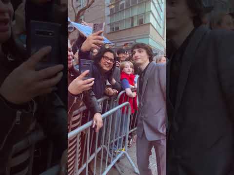 Ghostbusters x Finn Wolfhard