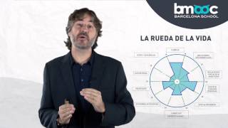 Coaching. La rueda de la vida 2/8