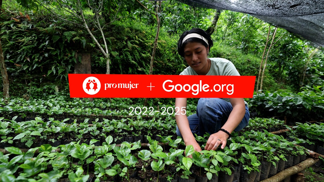 Pro Mujer + Google.org: Economic Autonomy for Women in Latin America (2022–2025)