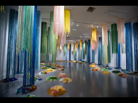 Trish Andersen: Little by Little Artist's Talk