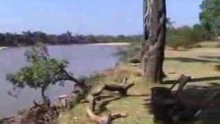 preview picture of video 'Zambia Safari: Mchenja with Zambia Odyssey'