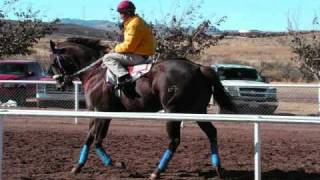 grupo laberinto las liebres de chihuahua