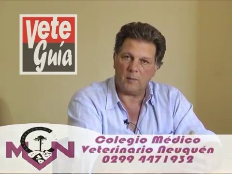 Veteguia - MV Hector Bergagna