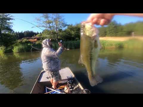 Slayed 29 Bass With Trillvilla