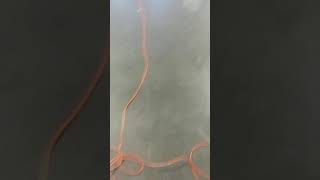 Download lagu Installing chuck wagon electric/pull starter: part 2 mp3 Download lagu Installing chuck wagon electric/pull starter: part 2 mp3