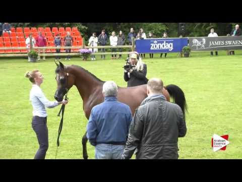 Bruges National  Class 4