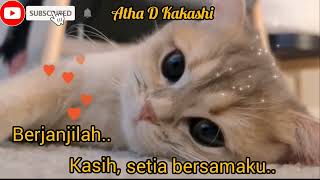 Download lagu Status wa Kucing Sedih | sad story #shorts mp3 Download lagu Status wa Kucing Sedih | sad story #shorts mp3