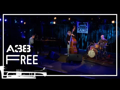 Matthew Shipp Trio - Circular Temple # 1 // Live 2012 // A38 Free