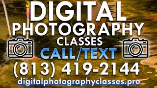 Photography Basics For Beginners in Tampa FL 33626 Tel:(813) 419-2144 Photograph
