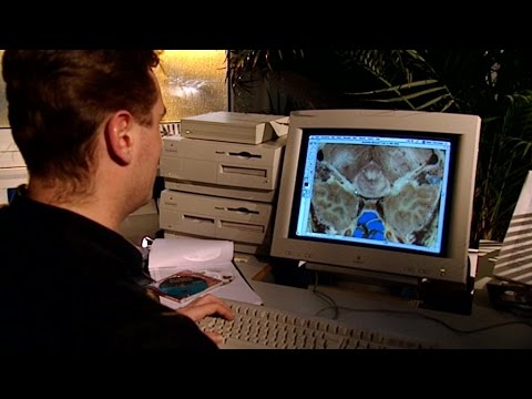 Schulfilm: 360° - die GEO-Reportage - Die Erfindung der Wirklichkeit (Schulfilm-Vorschau)