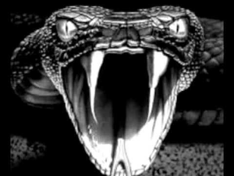 Viper(freestyle)Ft.Allie & Johnny