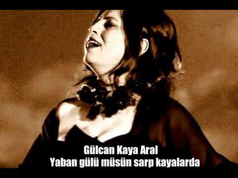 Gülcan Kaya - Yaban gülü müsün sarp kayalarda