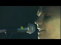 Smashing Pumpkins - Starz