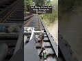 Skunk Train Rail Bikes! Rail Biking Rail Bridges! #SkunkTrain #RailBikes #FortBragg #California #fyp