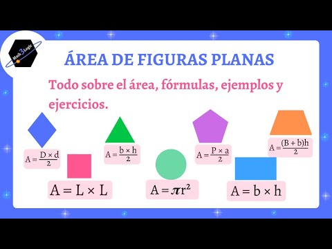 ✨💙TODO sobre área de figuras planas: Explicación, ejemplos y ejercicios. #math3logic #áreas