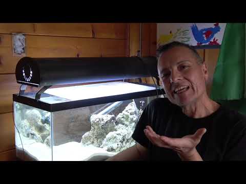 Salty Reef Aquarium   LIVE ROCK  -  Spicy Reef E19