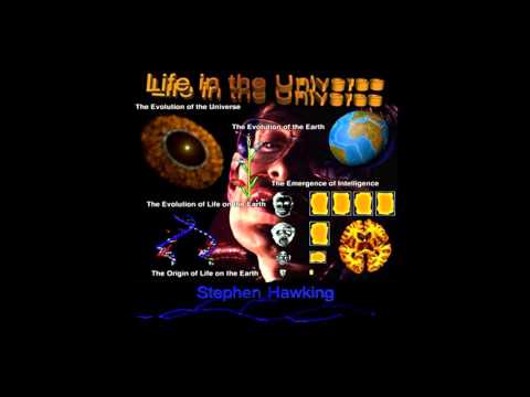 Prix Forum VI – Art & Science Round Table (2015): Victoria Vesna (US)