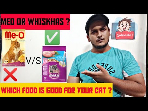 Whiskas Vs Meo || Which Cat Food Is Best || Cat Food Comparison || Cat Food Good Or Bad