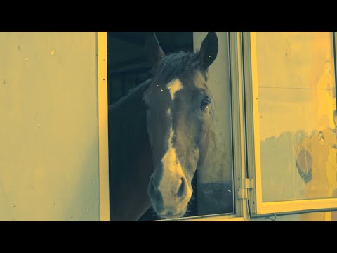 07. Klev X Armano - Pak Fjal (Official Video Album 'I Treti' )