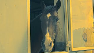 Klev & Armano - Pak Fjal