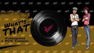 Funkerman &amp; Pete Surreal - What&#39;s That?