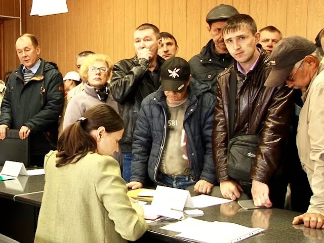 Дипломированные безработные