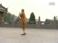 少林小罗汉拳Shaolin Xiao Luohan Quan by Shi De Yang