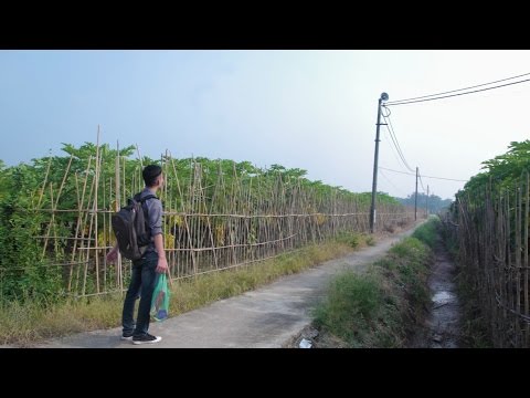 Vầng trăng trong con - Thanh Tùng