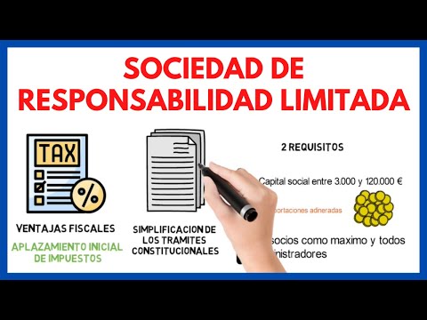 Limited Liability Company + [advantages and disadvantages] 🏢 | Business Economics 19#.