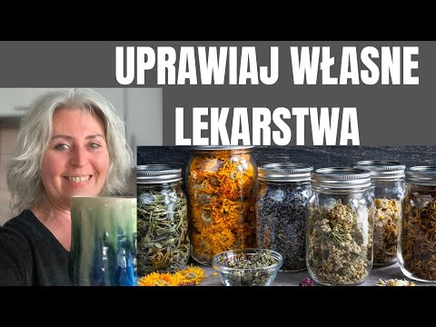 5 ziół, które musisz mieć – najcenniejsze rośliny lecznicze do Twojego ogrodu