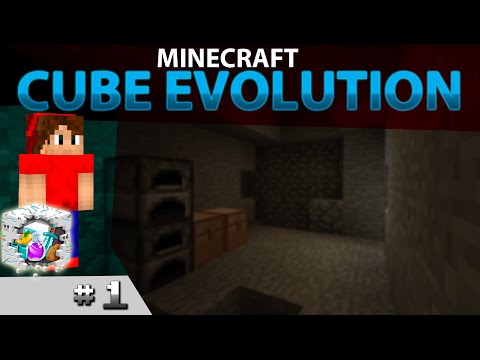 The Cube Evolution - Episode 1: Embracing the Environment