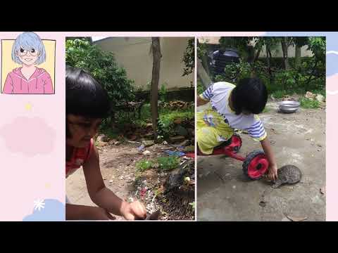 Cat training with Alif🐱