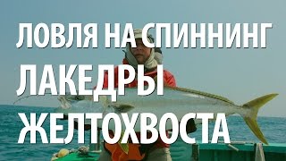 Приманки для ловли лакедры