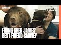 Greg James Best Friend Barney Gets A New Knee Supervet ER