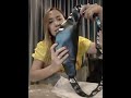 รีวิวกระเป๋าguess