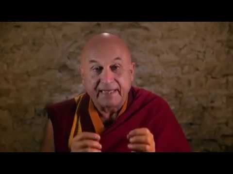 Apprendre à méditer avec Matthieu Ricard