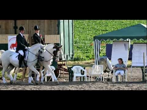 WBO-Turnier 2012 in Diedersen: So haben wir´s gemacht