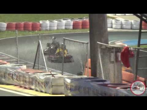 THR Etapa Premium - 11/06/2017 - Cat Silver