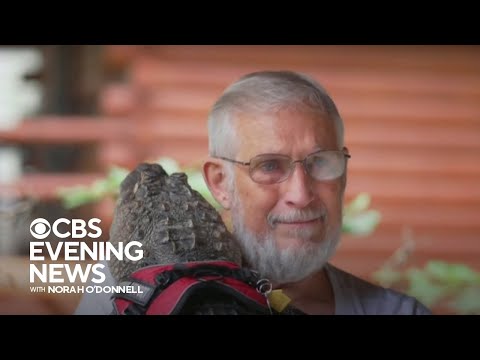 Emotional support alligator helps man with deep depression