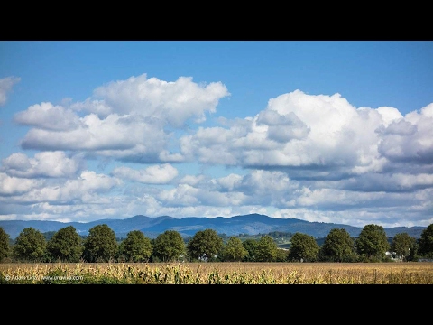 Adam Liria - Waterwind | www.unaviva.com | 14VQ