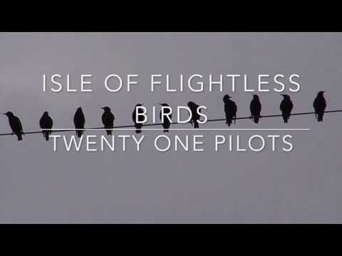 isle of flightless birds - twenty one pilots // lyrics