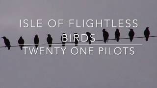 Isle Of Flightless Birds Music Video