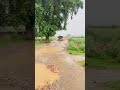 Thar Vs Scorpio Modified Rain Driving Status Shorts Thar Scorpio Modified Rain Status