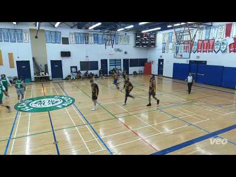 scarborough panthers vs toxic kings - sunday tier 6 - tcbl 2022 fall