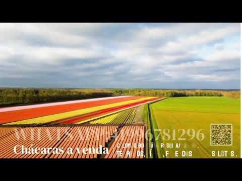 #chacaras #sitio #terrenos #fazendas #Visitenos  #colombo #parana #youtubebrasil #facebookviral #on 