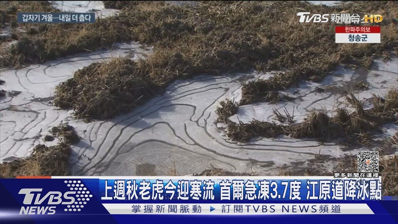 上週秋老虎今迎寒流　首爾急凍3.7度江原道降冰點