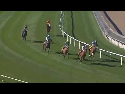 RACE 3 -Santa Anita (USA) 29 Dec 2025