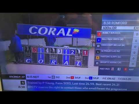 Bubbly Bonanza In Trap 1 Coming 2nd In His Race In Coral Romford Puppy Cup -2nd Semi Final. Xxxxx